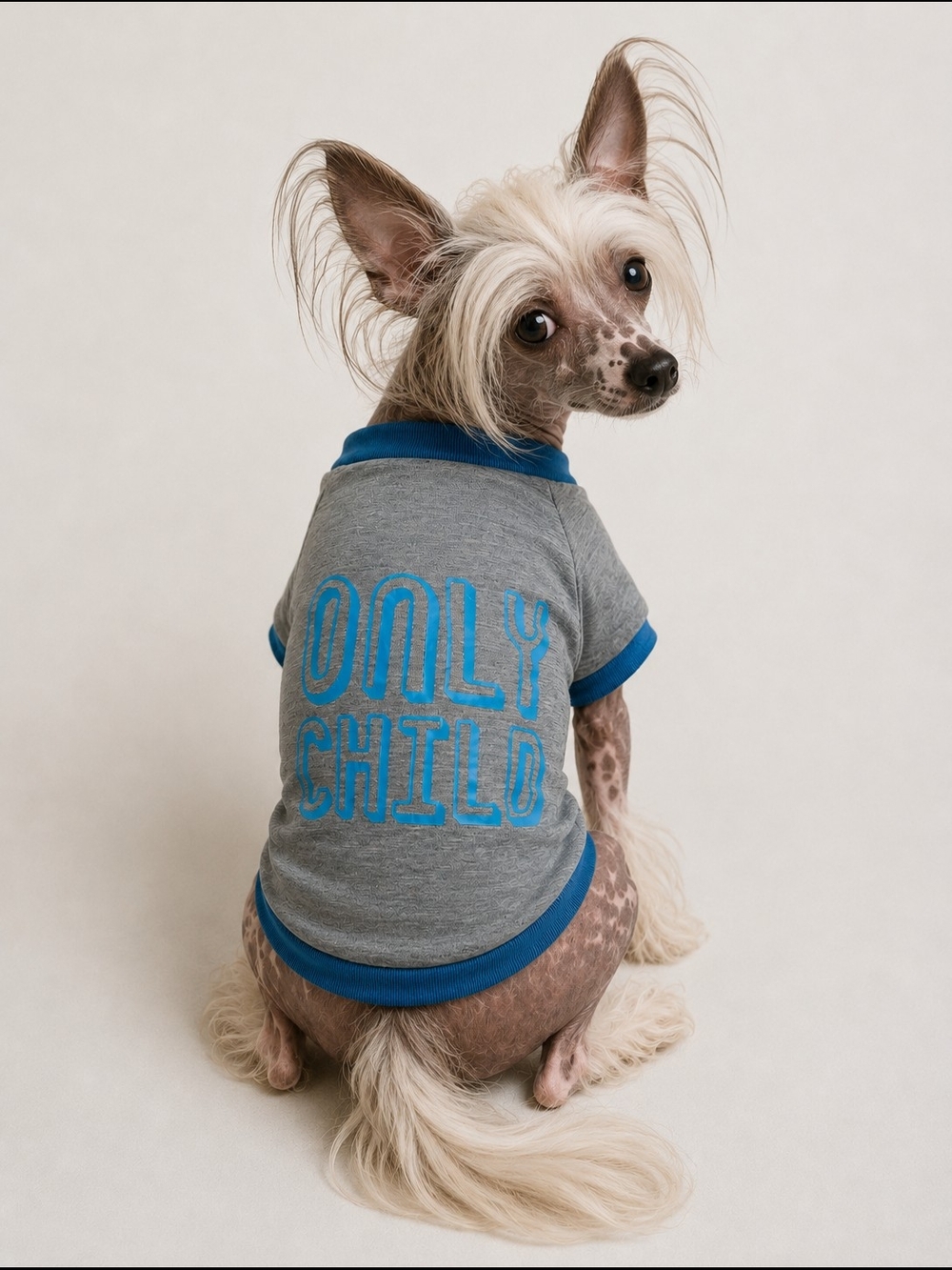 NWT Only Child Dog T-Shirt Grey & Blue Size Medium Pet Apparel